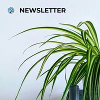 plant-newsletter-image